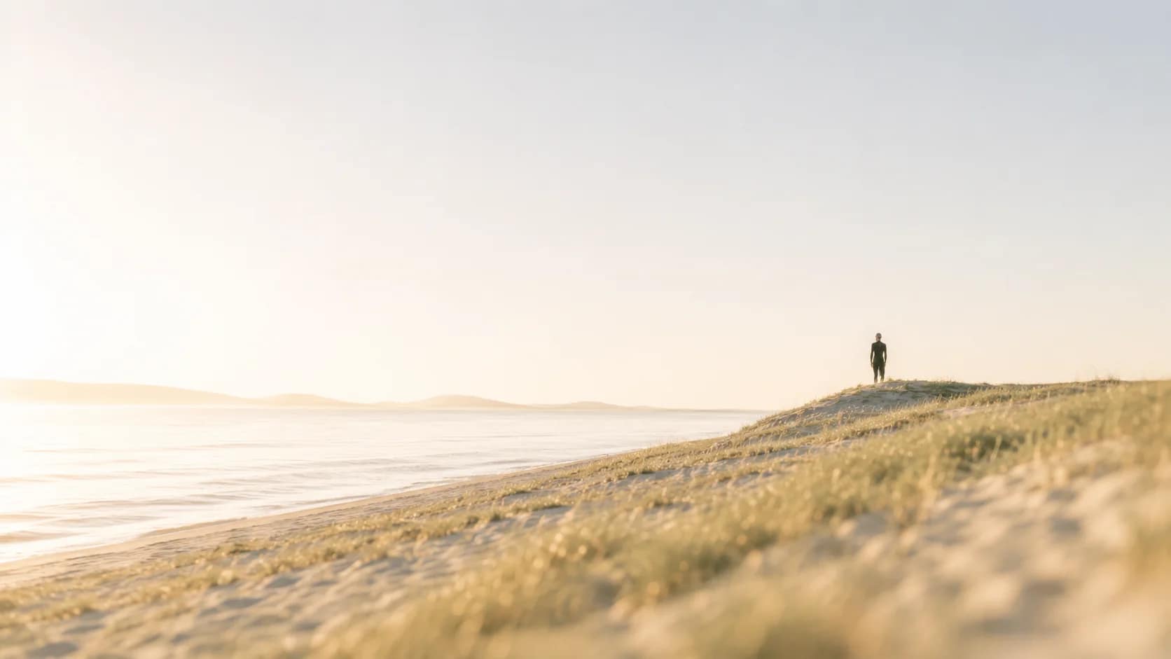A person standing on a dune above the sea